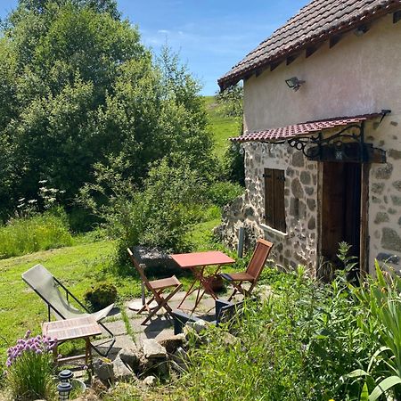 Maisonnette Chaleureuse De 35M2 Miremont  Exteriér fotografie