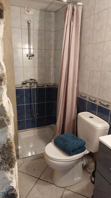 Maisonnette Chaleureuse De 35M2 Miremont  Exteriér fotografie
